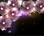 花の背景・壁紙イラスト-ネオン色・紫・夜
霓虹色+紫+夜
JPG 3078×2500
矢量版（5款）：http://huaban.com/pins/118441507/
#素材# #高清# #矢量# #花# #光晕#