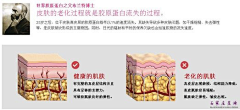 小怪味酱紫采集到皮肤结构与问题