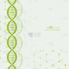 摘要背景与DNA分子结构