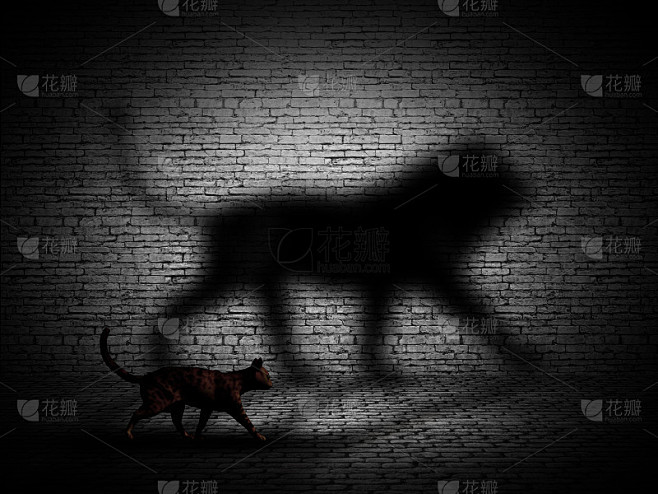 3D猫与狮子形状的影子在砖墙上行走