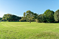 VCG41N1145347823