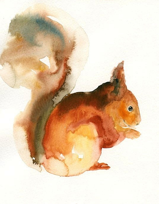 <3 Squirrel by DIMDI...