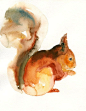 <3 Squirrel by DIMDI original watercolor (dimdi/etsy)