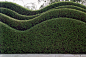 丨L丨景观规则植物设计丨绿墙/模纹花坛/法式园林花园/植物树木修剪/迷宫/