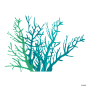 海底世界珊瑚海藻海草