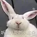 麦菊子