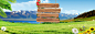 夏日风景旅游海报banner背景高清素材 椰子树 免费下载 页面网页 平面电商 创意素材