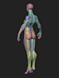 Stylized Female Blockout v1