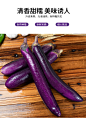 新鲜茄子紫茄子长茄子现摘大茄子紫茄子蔬菜紫皮白肉5斤包邮-tmall.com天猫