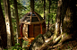 有关树屋的建筑，我们肯定见过不少。 拍案带大家看看真正的树屋- HemLoft，这个隐藏在加拿大一个森林里的木屋，它的外形像个大大的鸡蛋。大到房屋，小到里面的家具，外面的踩板，清一色全是木制的。有关Heidi & Joel Allen及这个树屋的故事，您可以去该 网站去 查看。>Paian Design