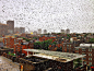 照片雨Ashutosh说夏尔马在波士顿一切最美500px的