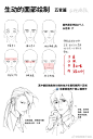 生动的面部绘制②【五... - @炮炮陸不站队的微博 - 微博