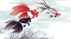 水墨画鱼儿桌面壁纸