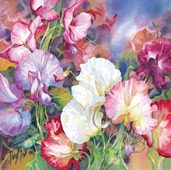 小小叔采集到花卉