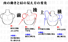 岐梦采集到动作
