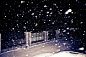哈尔滨的雪夜