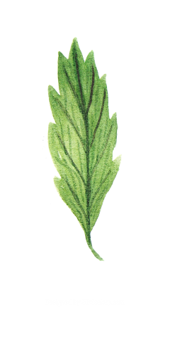 潜心alice采集到复古素材