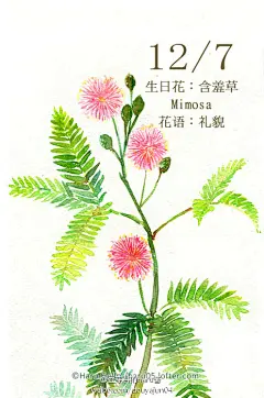豆芽君的haru酱的微博_微博