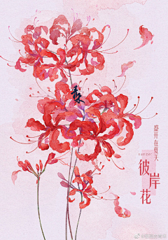 ART丶MingStar采集到花卉