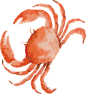 海螃蟹