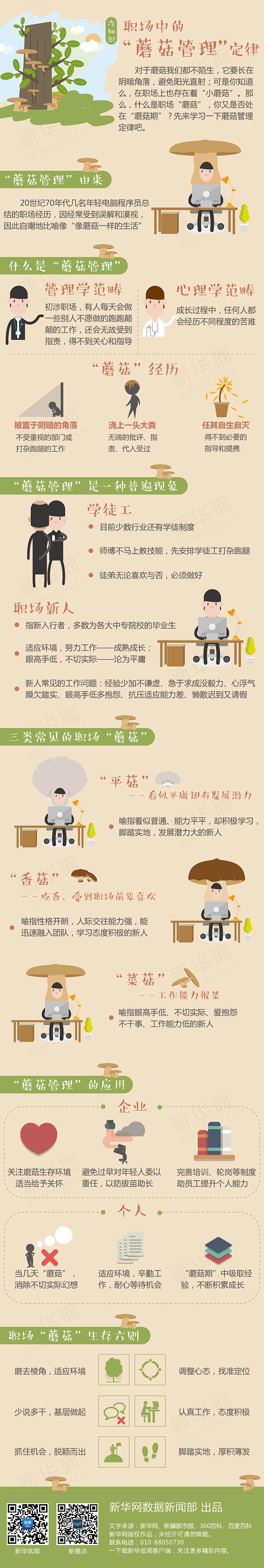 冷知识：职场中的“蘑菇管理”定律-新华网
