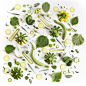 Food Collages by Julie Lee : California-based artist Julie Lee creates and photographs colorful food compositions to promote healthy eating and celebrate local, sustainable produce.

"My food collages on Instagram started out as a way to showcase sea
