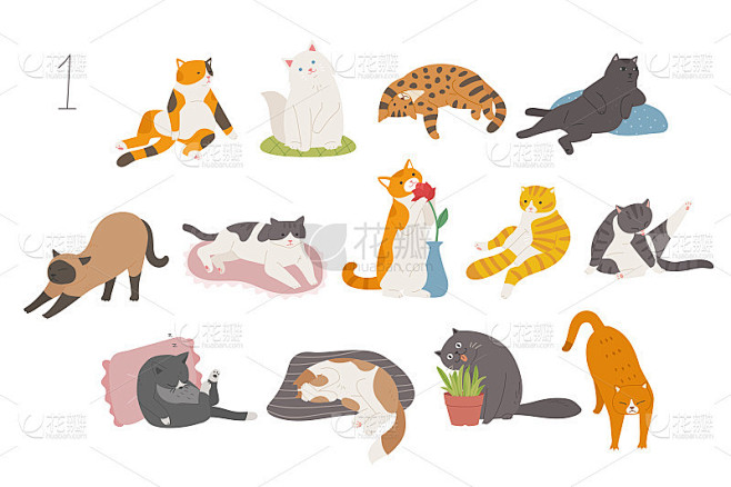 有趣的猫