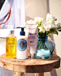 L'OCCITANE en Provence (@loccitane)的ins主页 · Pinsta.me - Instagram网页版 | 发现搜集喜愛的ins用戶 - Tofo/Lookins.me