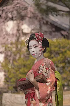可爱的日本艺妓