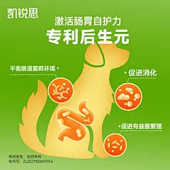 凯锐思鸭肉梨狗粮幼犬成犬泰迪柯基比熊博美大型犬小型犬专用犬粮-tmall.com天猫