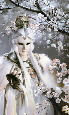 野有郁丶采集到BJD-木偶-模型