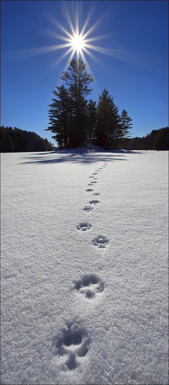 Quabbin Reservoir, M...