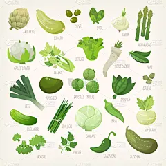 蔬菜,水果,白色,绿色,多样,芹菜,菠菜,胡瓜,韭,莴苣