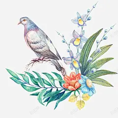 手绘水彩花鸟花草 免抠png 设计图片 免费下载 页面网页 平面电商 创意素材