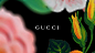Gucci Official Site United States : Gucci Official Site United States