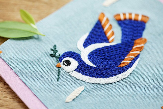 EMBROIDERY DIY KIT :...