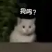 M_meow