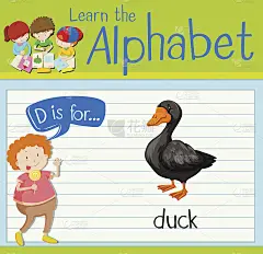卡片上的字母D代表鸭子