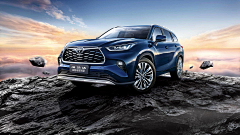 喵出没采集到丰田