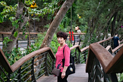 etipiero采集到05-17 仙湖植物园