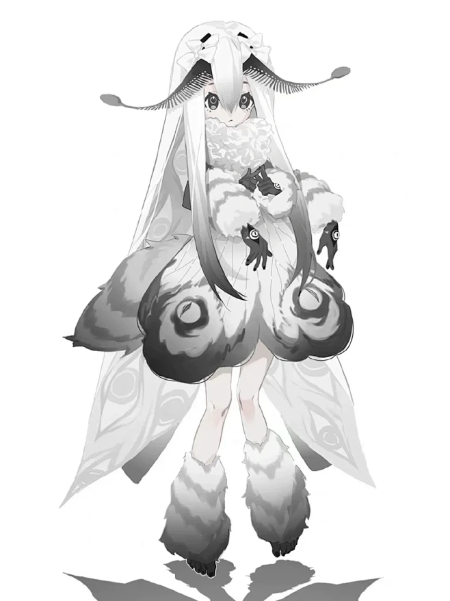 蛾