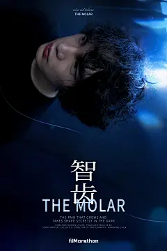 《智齿》短片海报