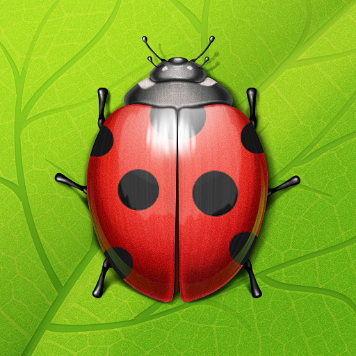 ladybugfull