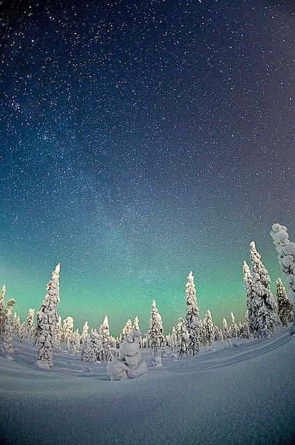 北极光 - 在芬兰Rovaniemi的星...