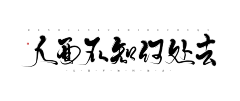 椤沉衣采集到凤辞板写