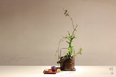 郑福星茶业采集到林派花道