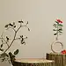 原木鲜花木桩展台化妆品海报高清背景：