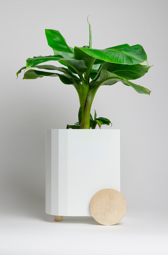 Froller : Planter Fr...