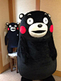 #酷MA萌# #kumamon#