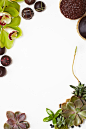 iPhone background for H.Bloom by Vanessa Rees of V.K.Rees Photography